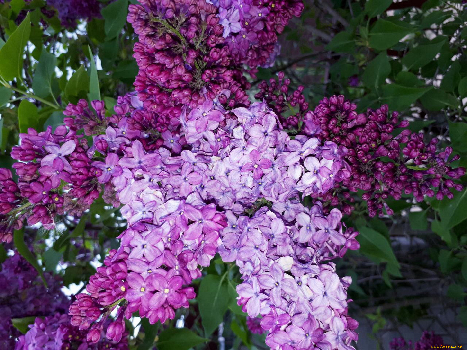 , , 